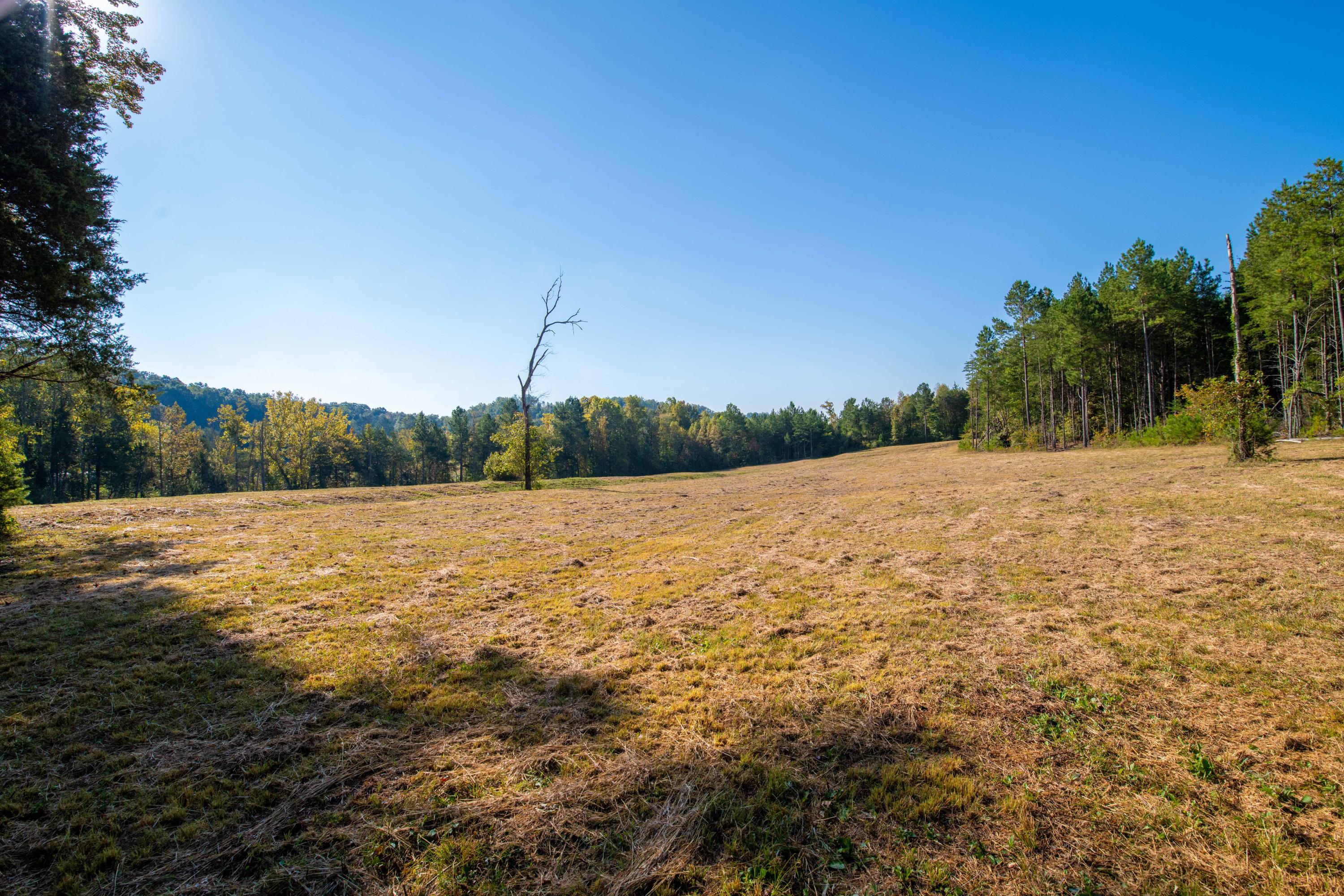 401 Johns Road Decatur, TN 37322 - Photo 26 of 42 D85_2303