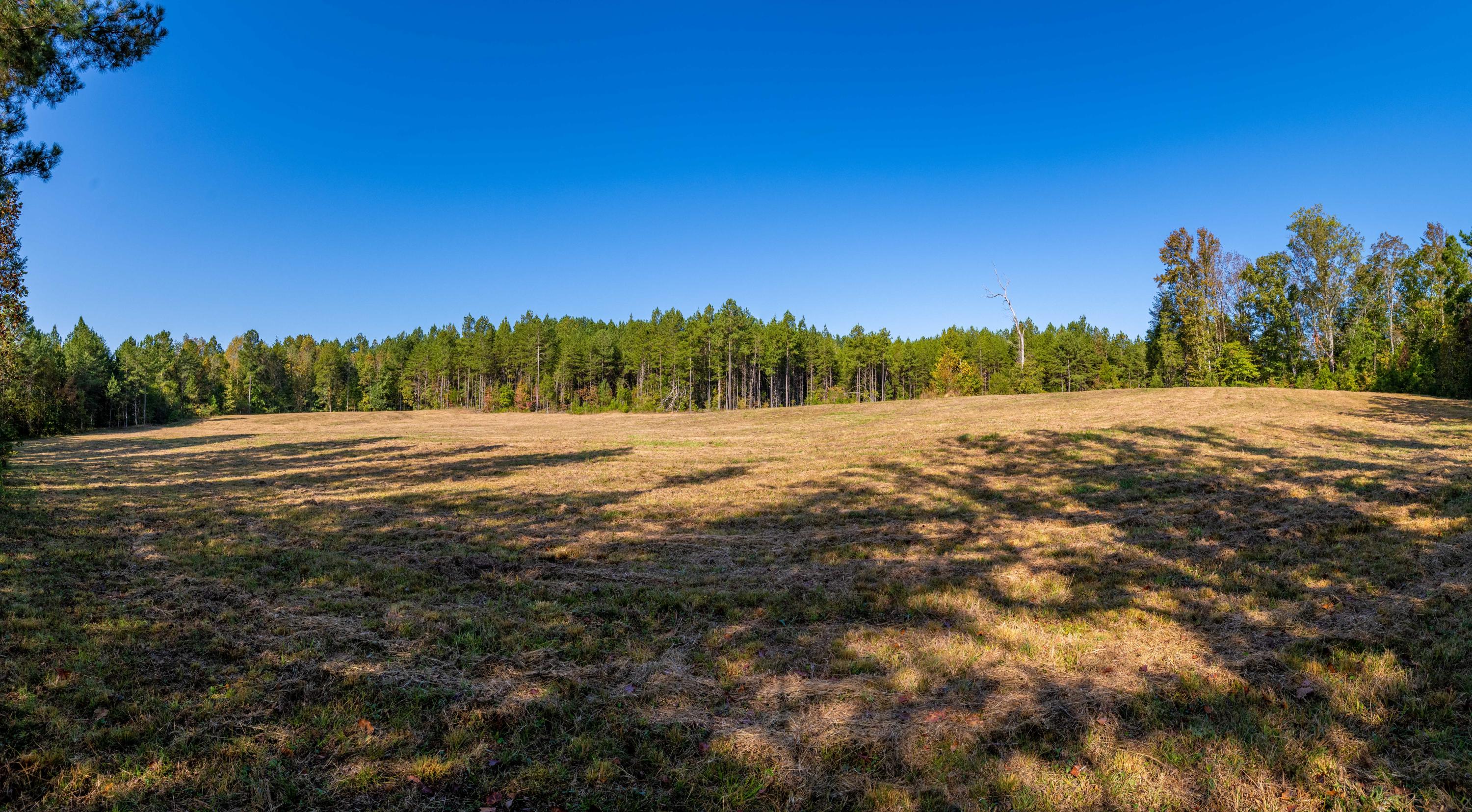 401 Johns Road Decatur, TN 37322 - Photo 27 of 42 D85_2305-Pano