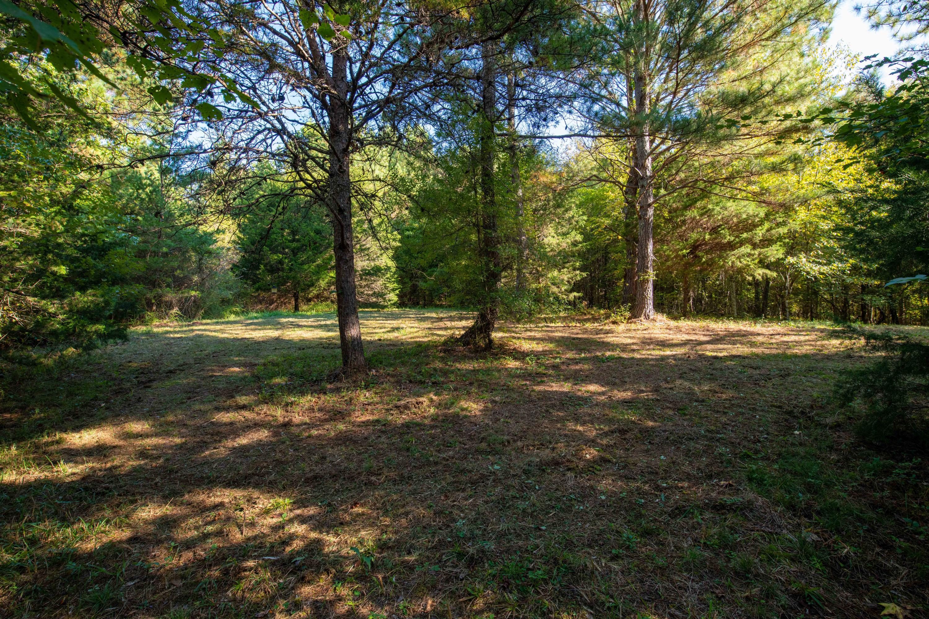 401 Johns Road Decatur, TN 37322 - Photo 30 of 42 D85_2308