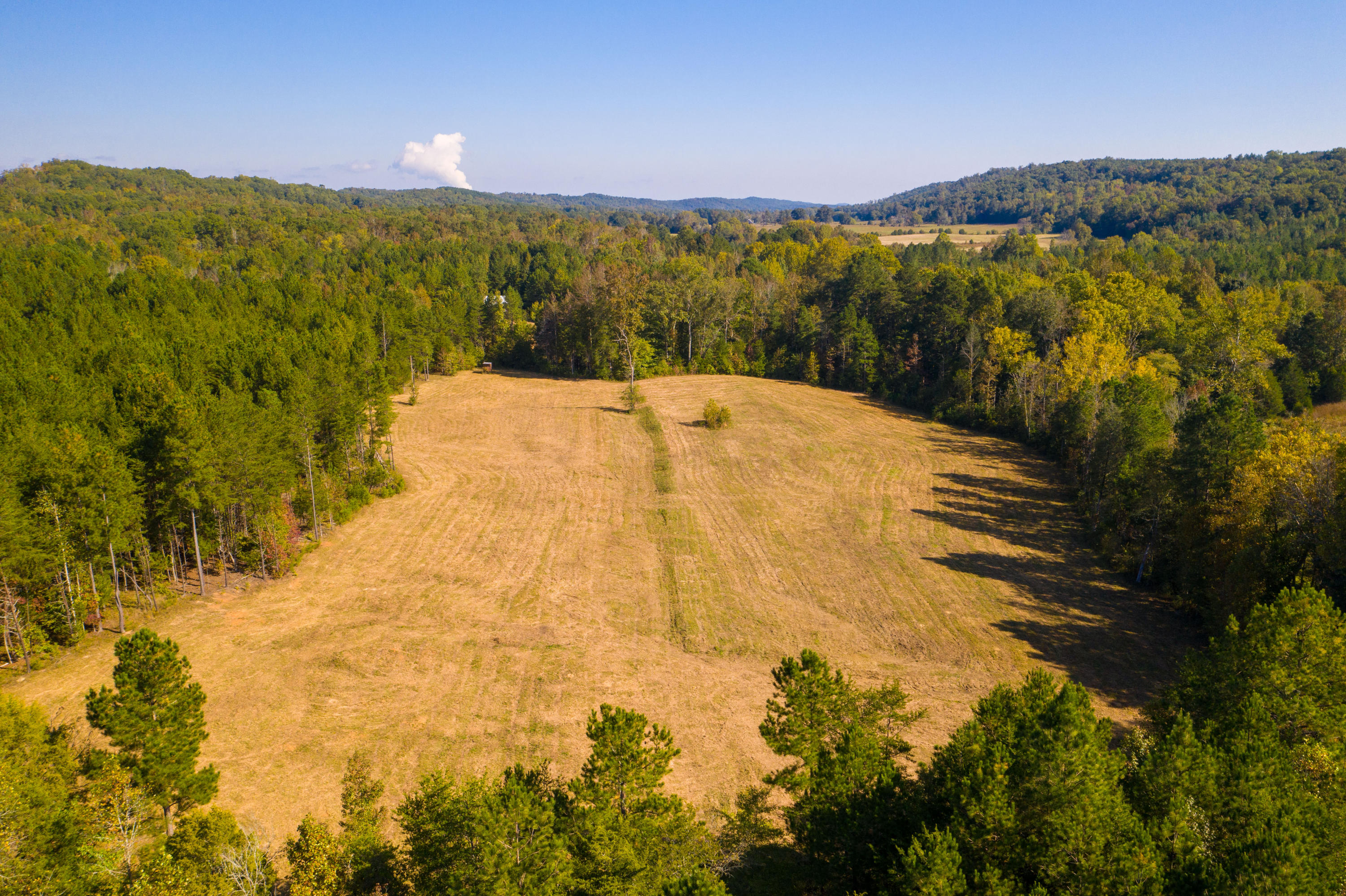 401 Johns Road Decatur, TN 37322 - Photo 41 of 42 DJI_0705