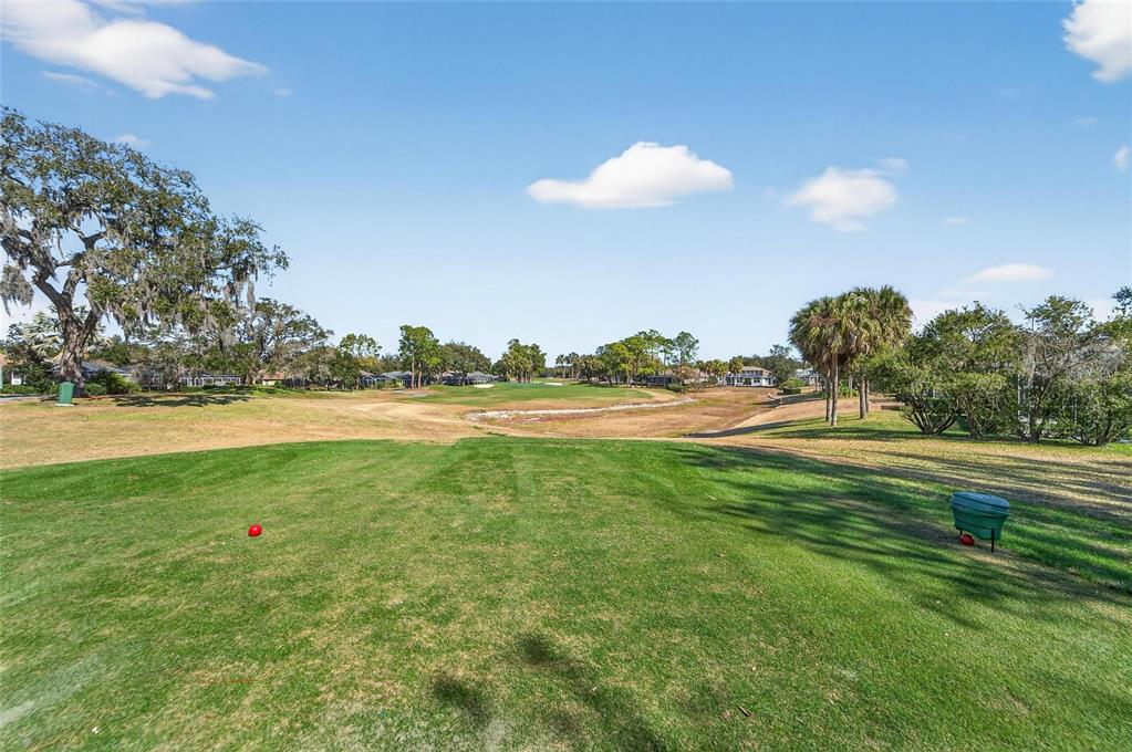 3522 Fox Squirrel Lane Valrico, FL 33596 - Photo 15 of 82 a view of a lake with a yard
