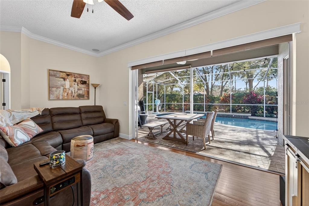 3522 Fox Squirrel Lane Valrico, FL 33596 - Photo 38 of 82 a living room with furniture and a floor to ceiling window