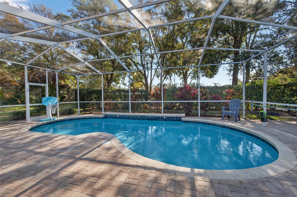3522 Fox Squirrel Lane Valrico, FL 33596 - Photo 59 of 82 a view of a swimming pool with a patio and wooden fence