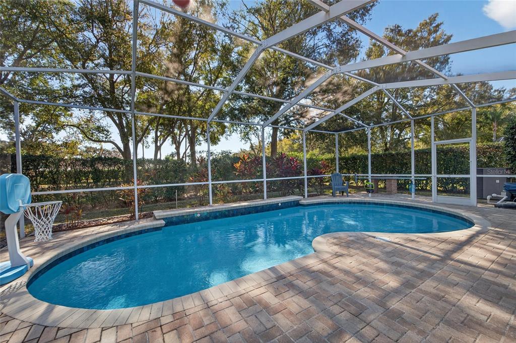 3522 Fox Squirrel Lane Valrico, FL 33596 - Photo 60 of 82