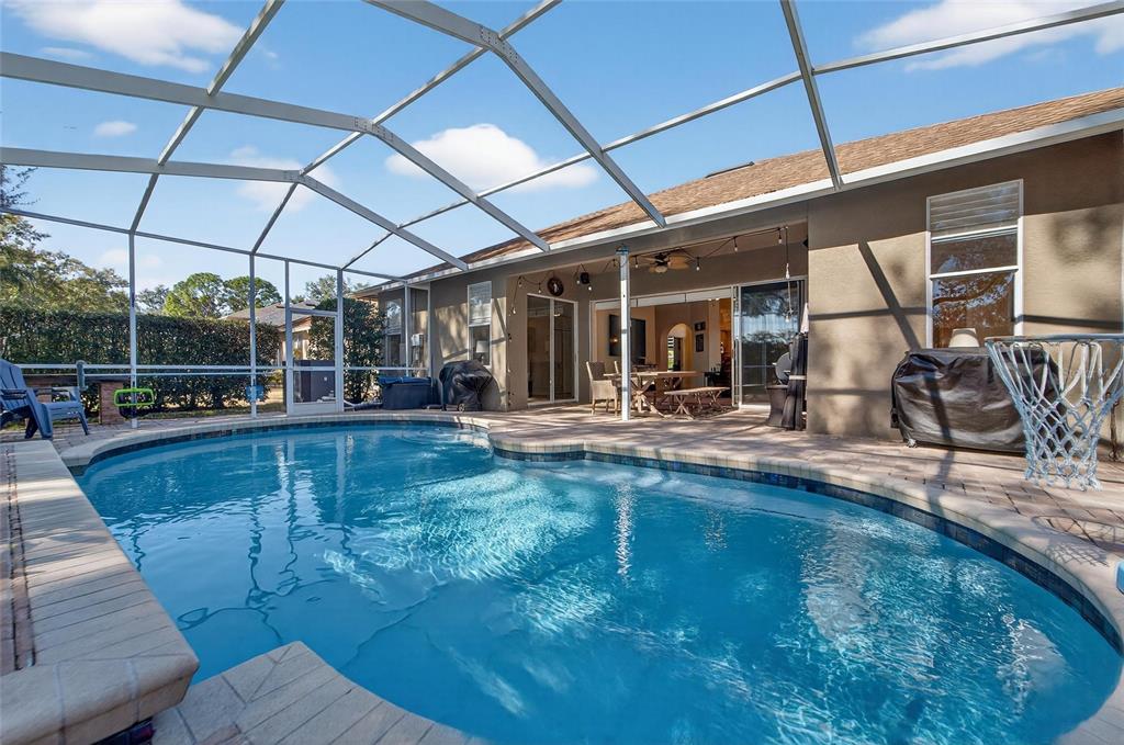 3522 Fox Squirrel Lane Valrico, FL 33596 - Photo 61 of 82 a view of a swimming pool with a patio