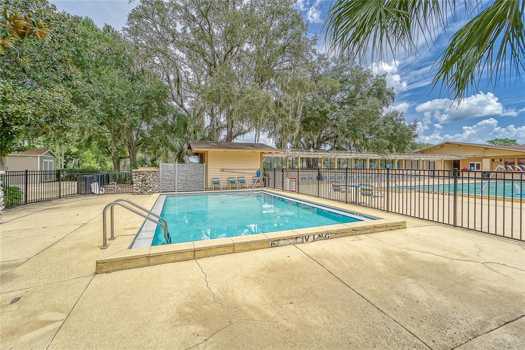 3522 Fox Squirrel Lane Valrico, FL 33596 - Photo 72 of 82 a view of a swimming pool with a lounge chair