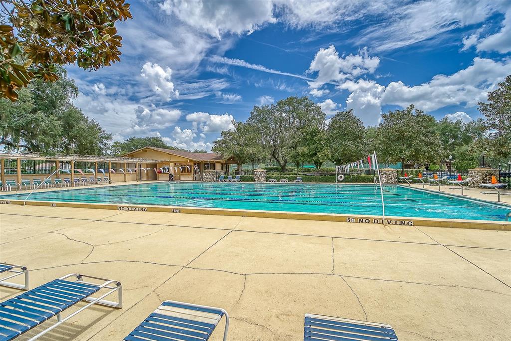 3522 Fox Squirrel Lane Valrico, FL 33596 - Photo 73 of 82