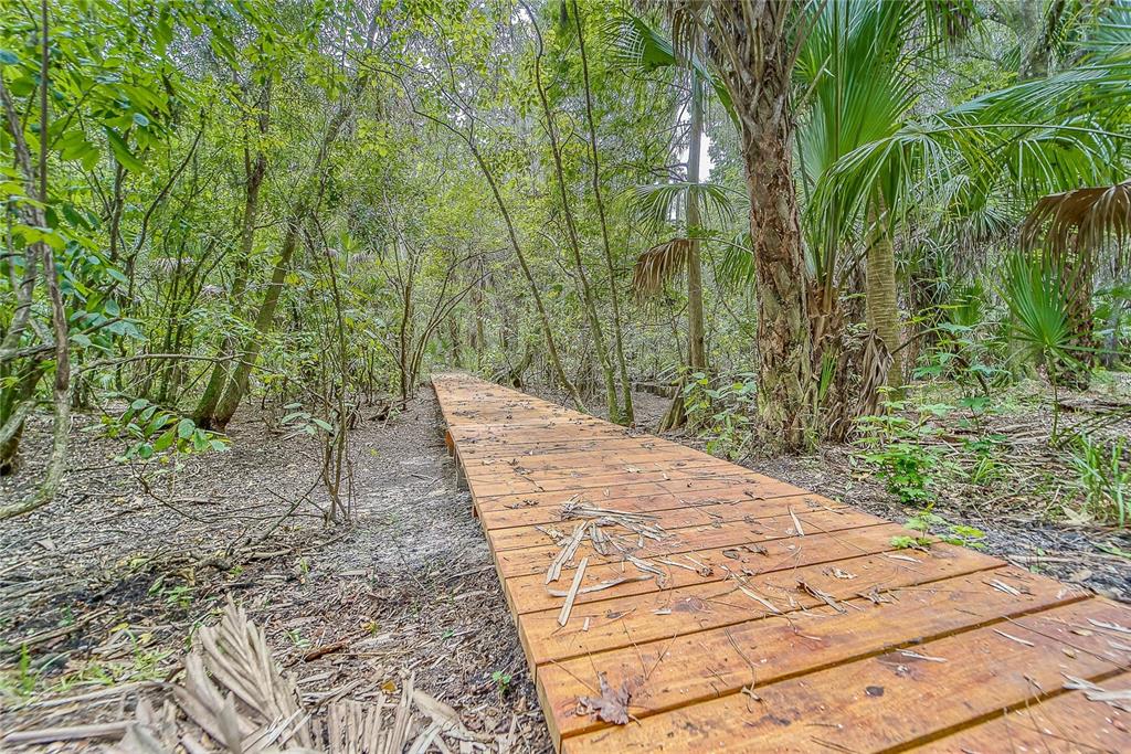 3522 Fox Squirrel Lane Valrico, FL 33596 - Photo 78 of 82