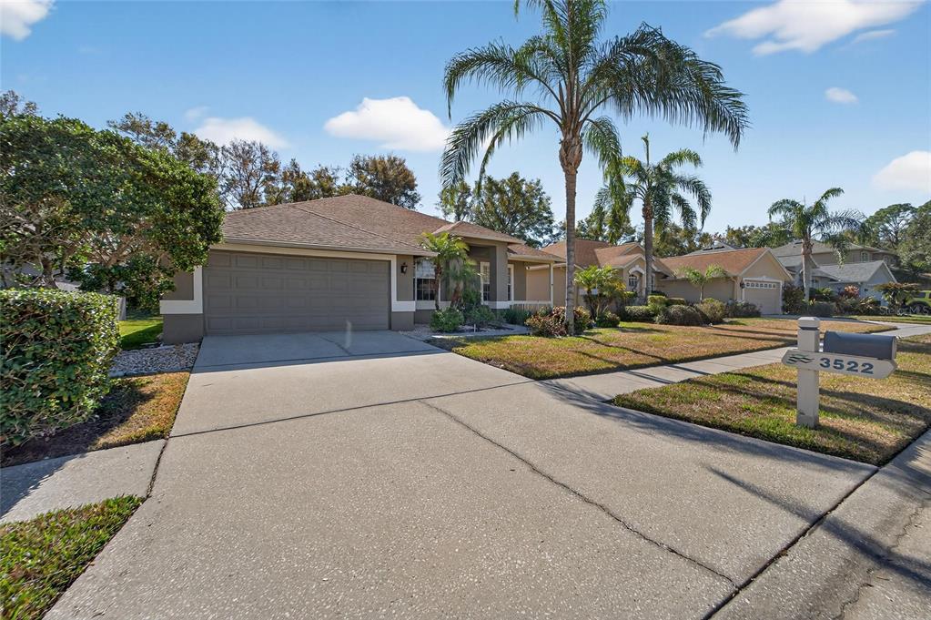 3522 Fox Squirrel Lane Valrico, FL 33596 - Photo 8 of 82