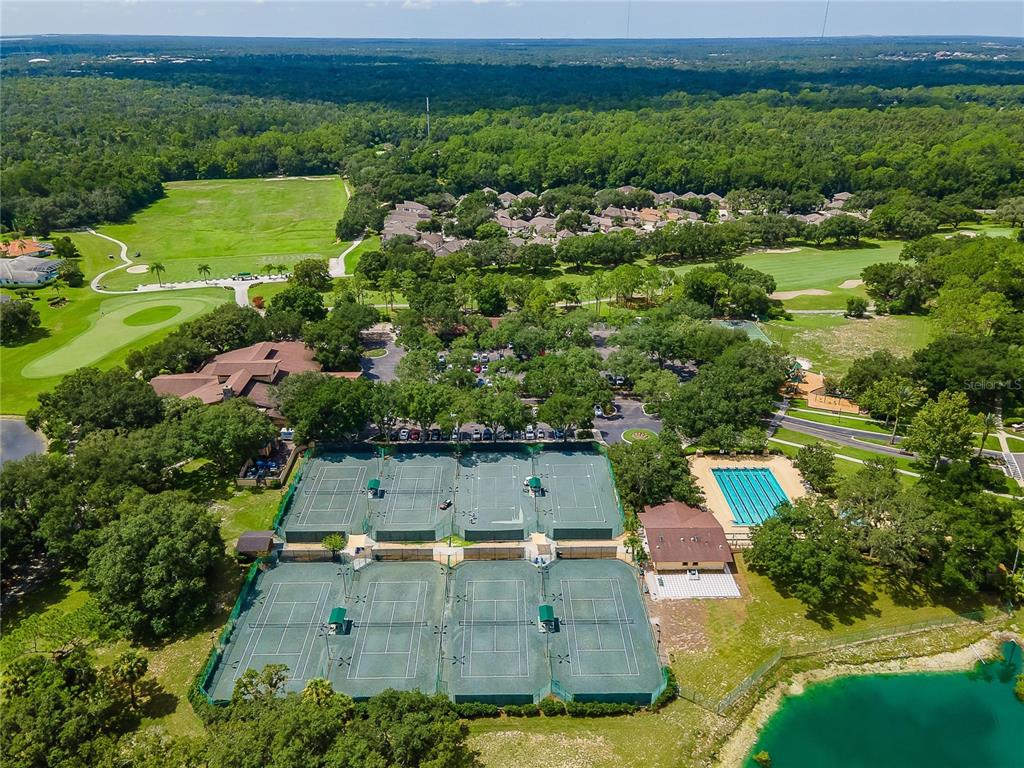 3522 Fox Squirrel Lane Valrico, FL 33596 - Photo 81 of 82 an aerial view of residential houses with outdoor space and swimming pool