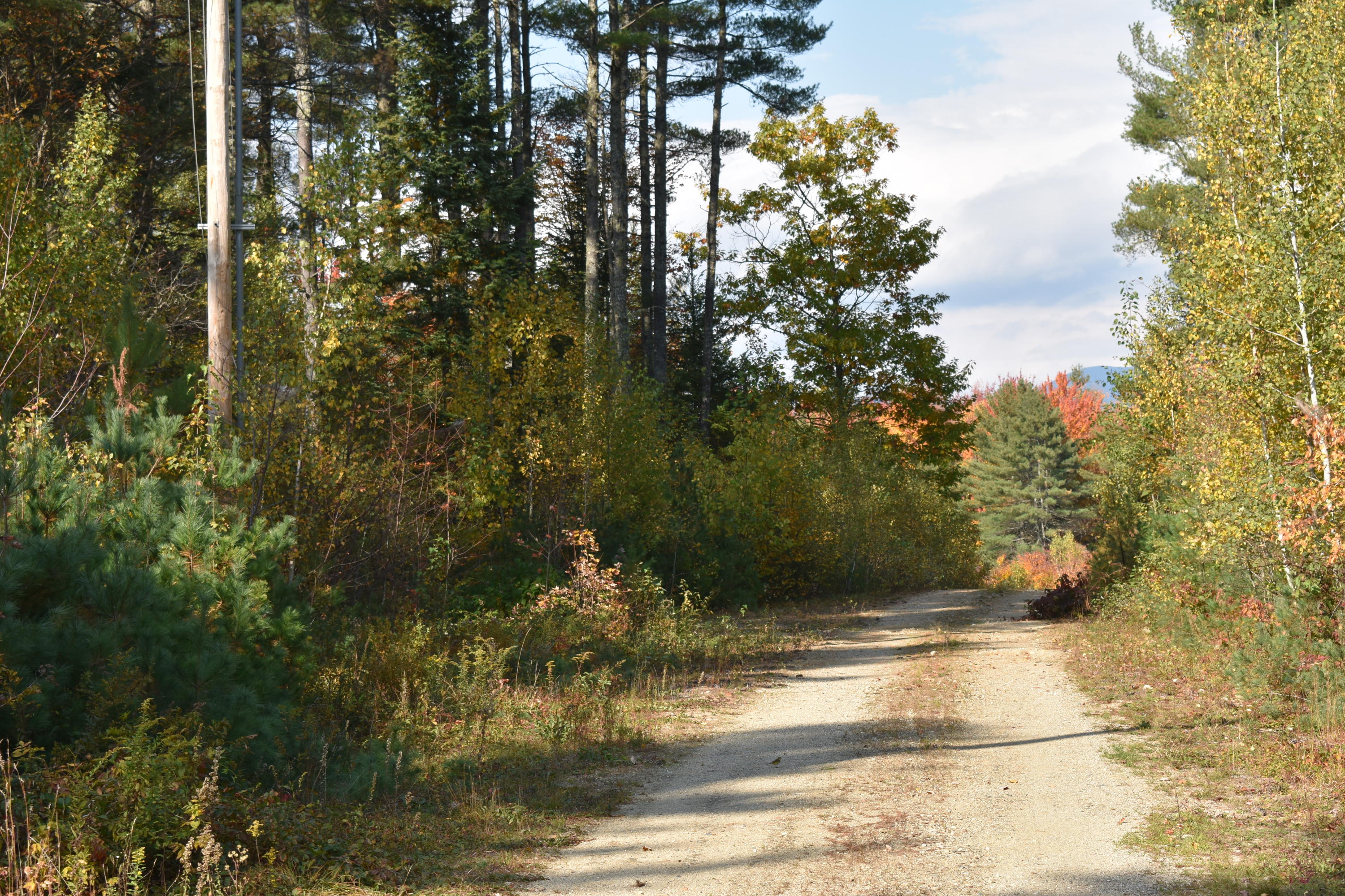 Lot 3 Cobblestone Farm Road Bethel, ME 04217 - Photo 3 of 5 DSC_0621