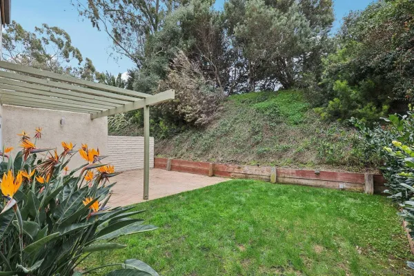 a view of a backyard with plants and a patio
