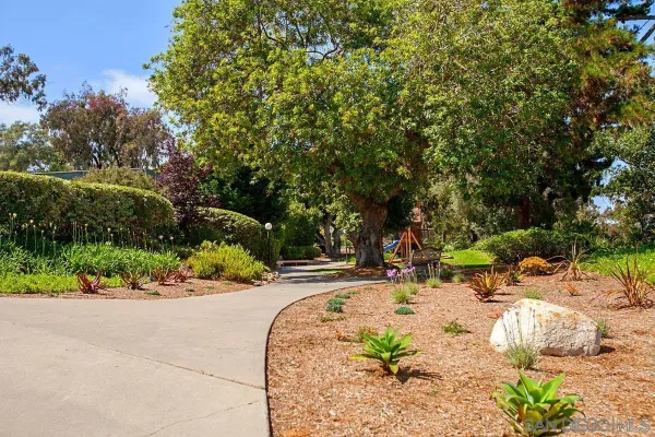 a park view with a slide