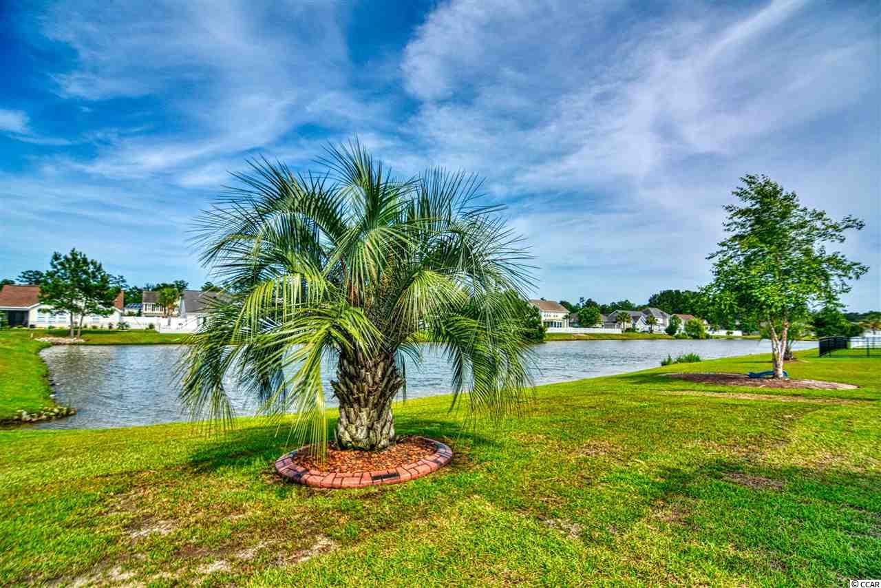716 Rambler Court Myrtle Beach, SC 29588 - Photo 24 of 35 Gallery Image 24