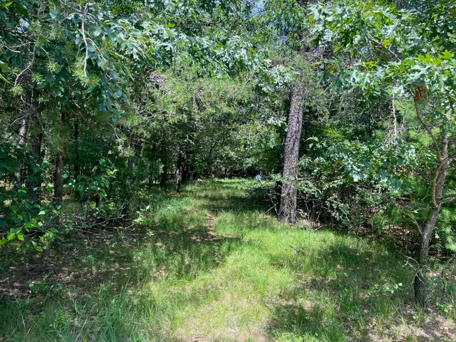 $35,000 | L64 South Cypress Drive, Arkdale, WI 54613