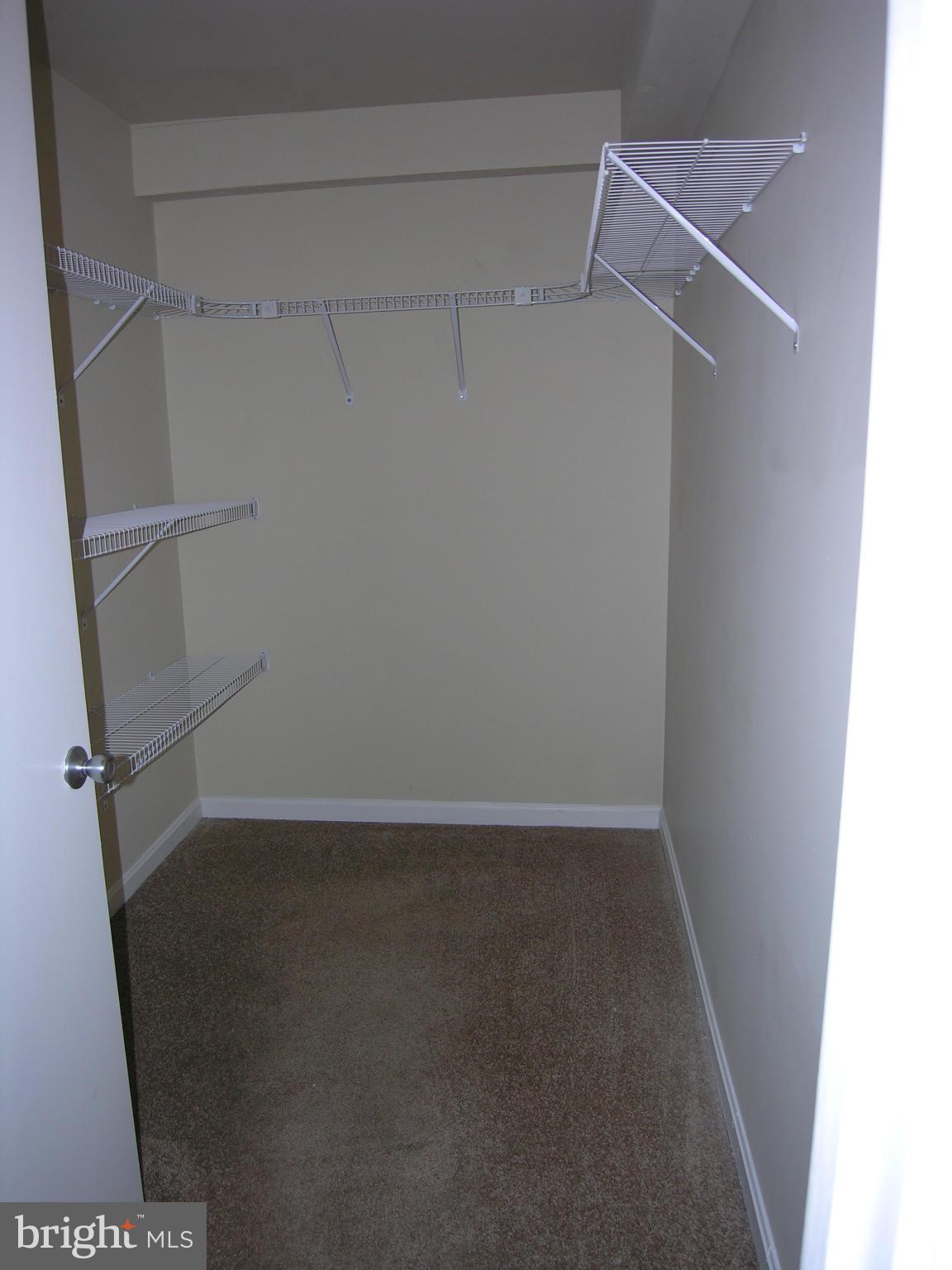 111 Timberlake Terrace, Unit 1 Stephens City, VA 22655 - Photo 17 of 23 MBR closet