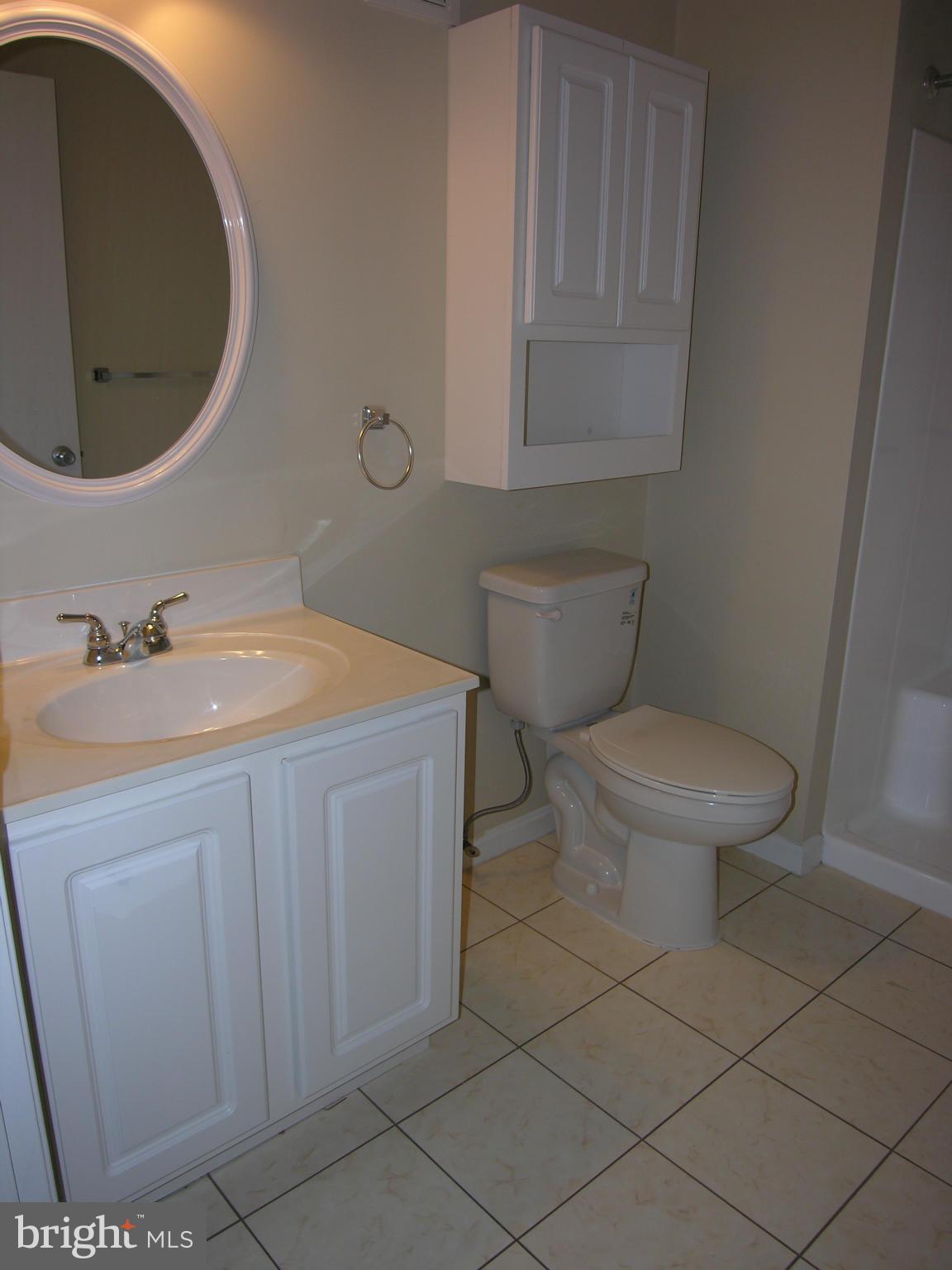 111 Timberlake Terrace, Unit 1 Stephens City, VA 22655 - Photo 18 of 23 Bath (Master)
