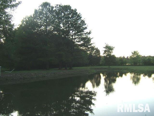 6088 Old Rte 13 Carterville, IL 62918 - Photo 29 of 32 Gallery Image 29