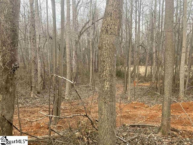 159 Rockingham Road Duncan, SC 29334 - Photo 3 of 8