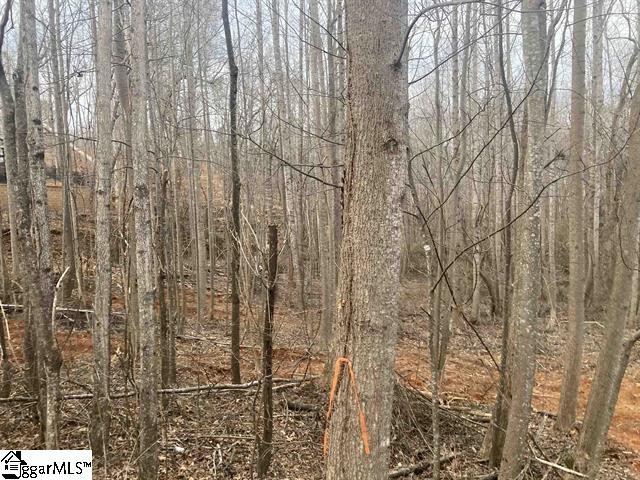 159 Rockingham Road Duncan, SC 29334 - Photo 5 of 8