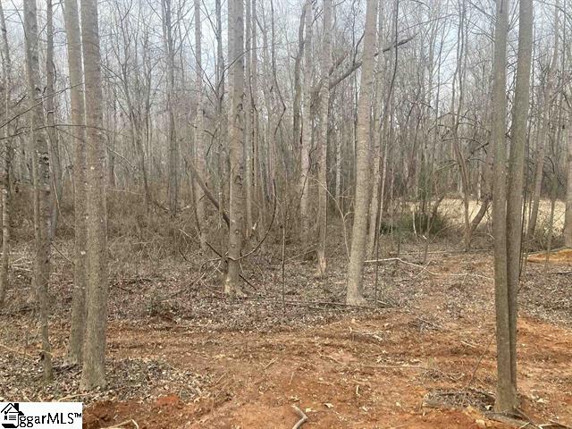 159 Rockingham Road Duncan, SC 29334 - Photo 6 of 8