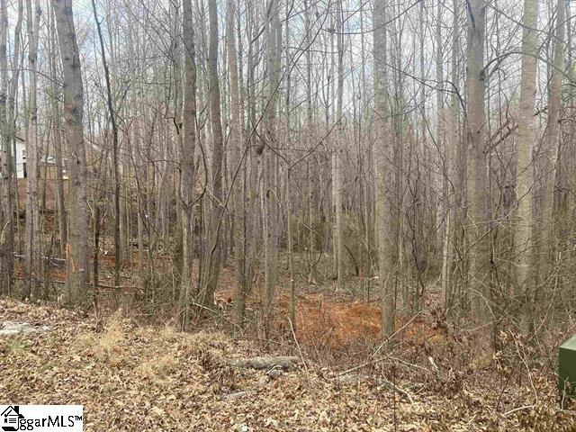 159 Rockingham Road Duncan, SC 29334 - Photo 6 of 8