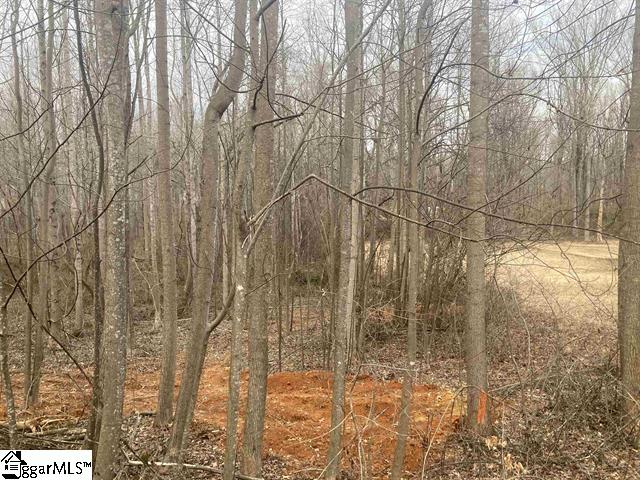 159 Rockingham Road Duncan, SC 29334 - Photo 8 of 8