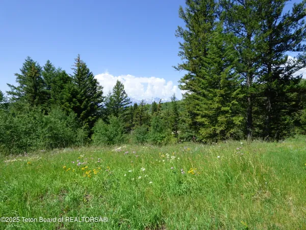 $4,495,000 | 15180 Teton Wilderness Drive, Moran, WY 83013