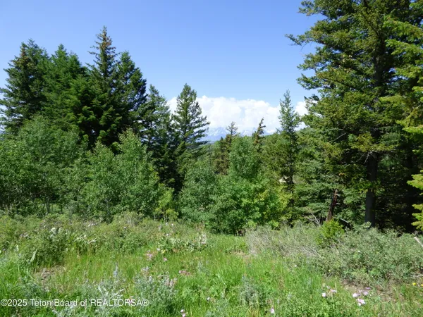 $4,495,000 | 15180 Teton Wilderness Drive, Moran, WY 83013
