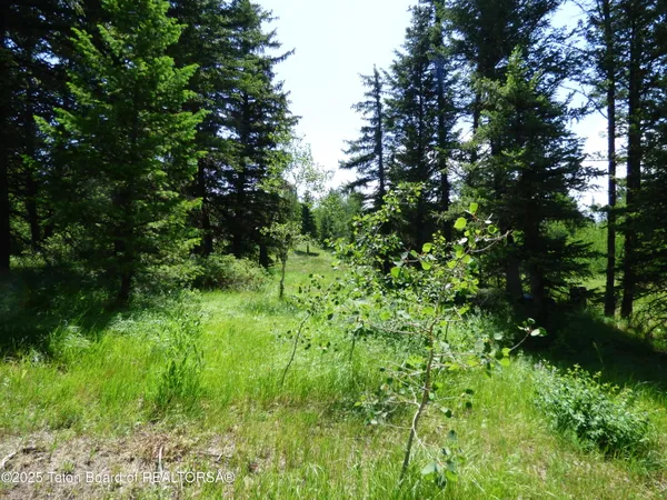 $4,495,000 | 15180 Teton Wilderness Drive, Moran, WY 83013