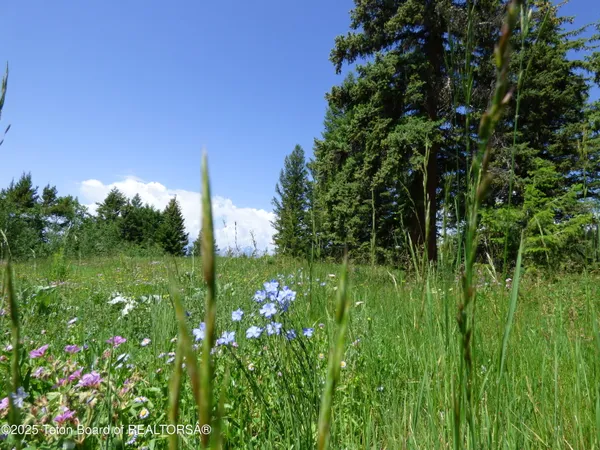 $4,495,000 | 15180 Teton Wilderness Drive, Moran, WY 83013