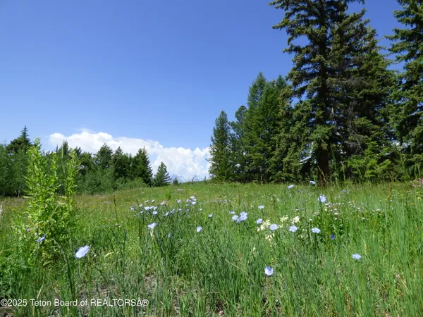 $4,495,000 | 15180 Teton Wilderness Drive, Moran, WY 83013