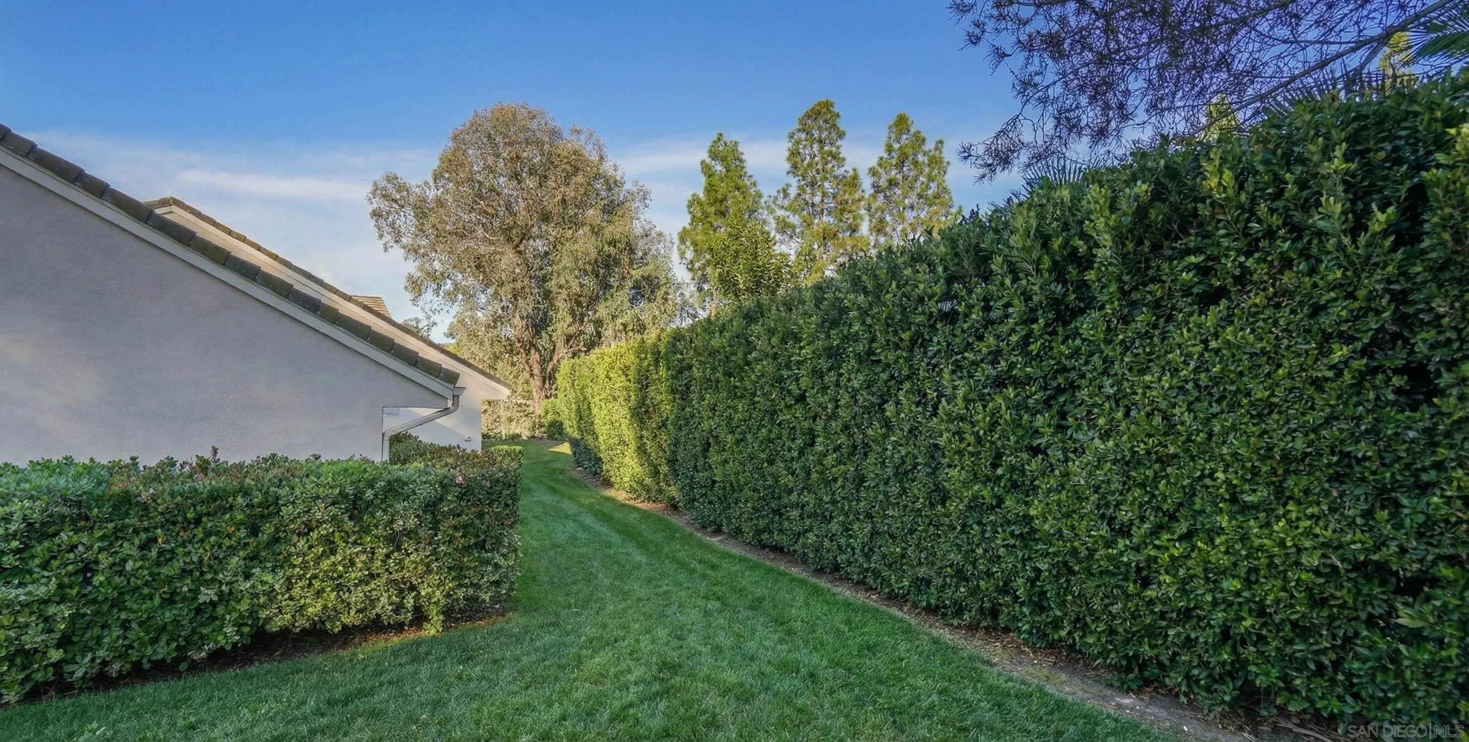 17515 Circa Oriente Rancho Santa Fe, CA 92067 - Photo 36 of 37 a view of a garden with plants and a large tree