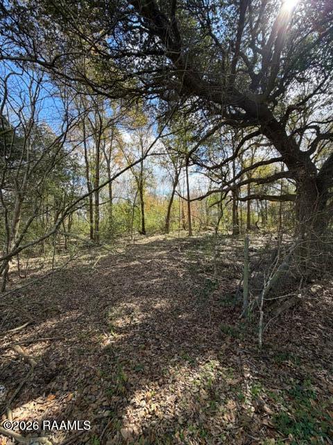 26530 Cemetery Road Kaplan, LA 70548 - Photo 2 of 6 IMG_7359