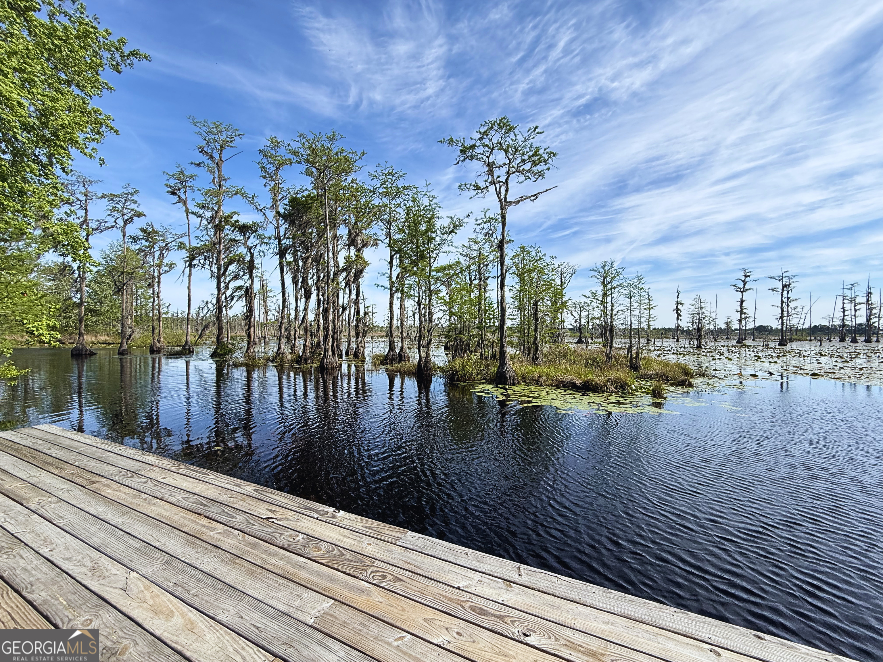 1764 Kennedy Pond Road Statesboro, GA 30458 - Photo 16 of 16 Gallery Image 16