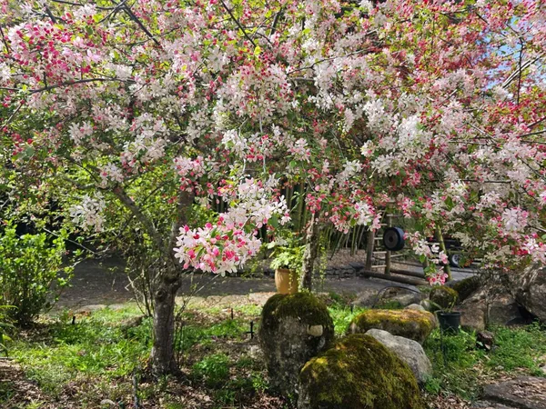 $5,999,999 | 5601 Freedom Boulevard, Aptos, CA 95003