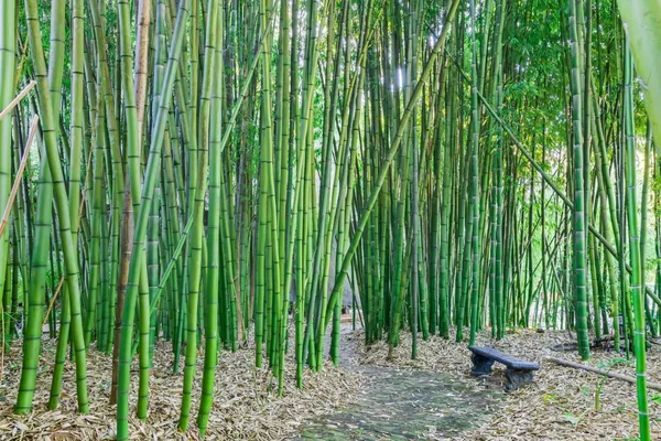 $5,999,999 | 5601 Freedom Boulevard, Aptos, CA 95003