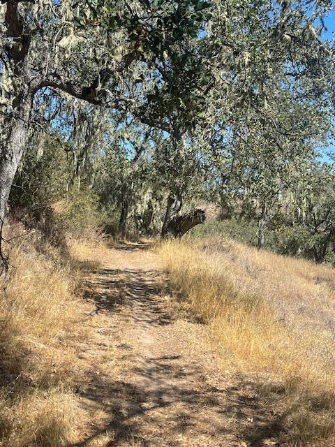 0 Cachagua Road Carmel Valley, CA 93924 - Photo 5 of 6 a view of ocean view