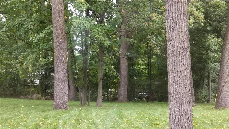13936 Aberdeen Road Gregory, MI 48137 - Photo 2 of 30 Photo 2