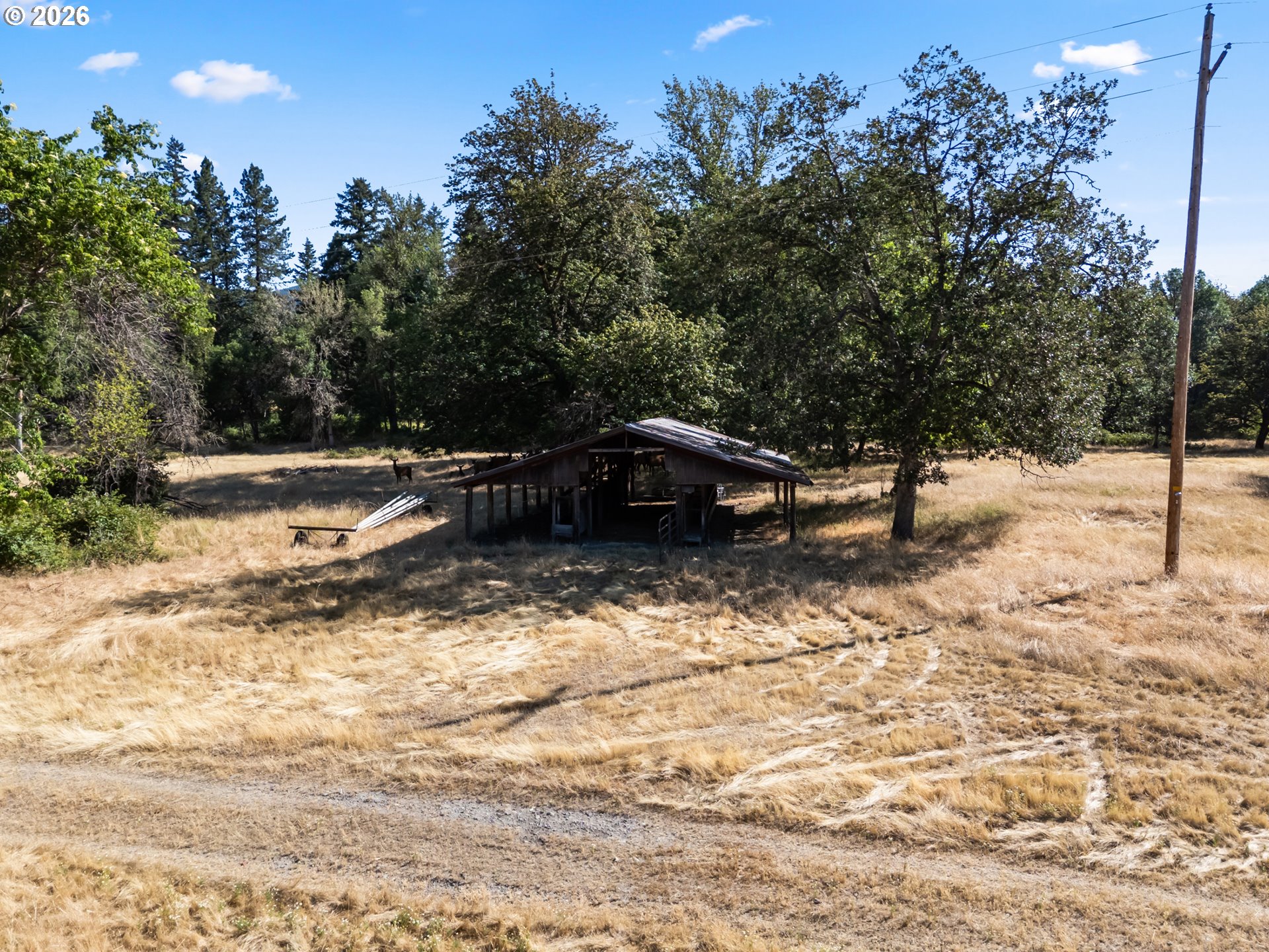 706 Creek Road Azalea, OR 97410 - Photo 10 of 23