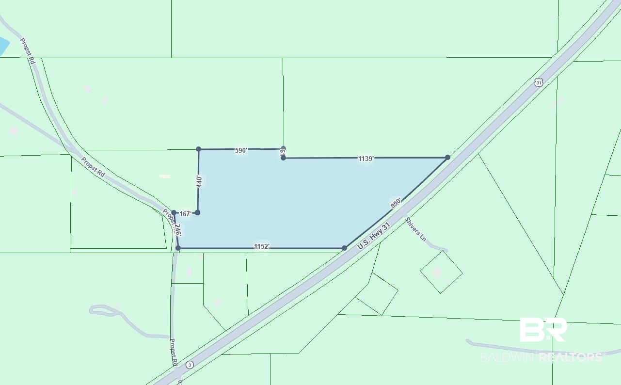 51290 Propst Road Bay Minette, AL 36507 - Photo 3 of 5 Map / location of property area