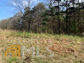 Lot 3 County Line Road Fayetteville, GA 30215 - Photo 1 of 1