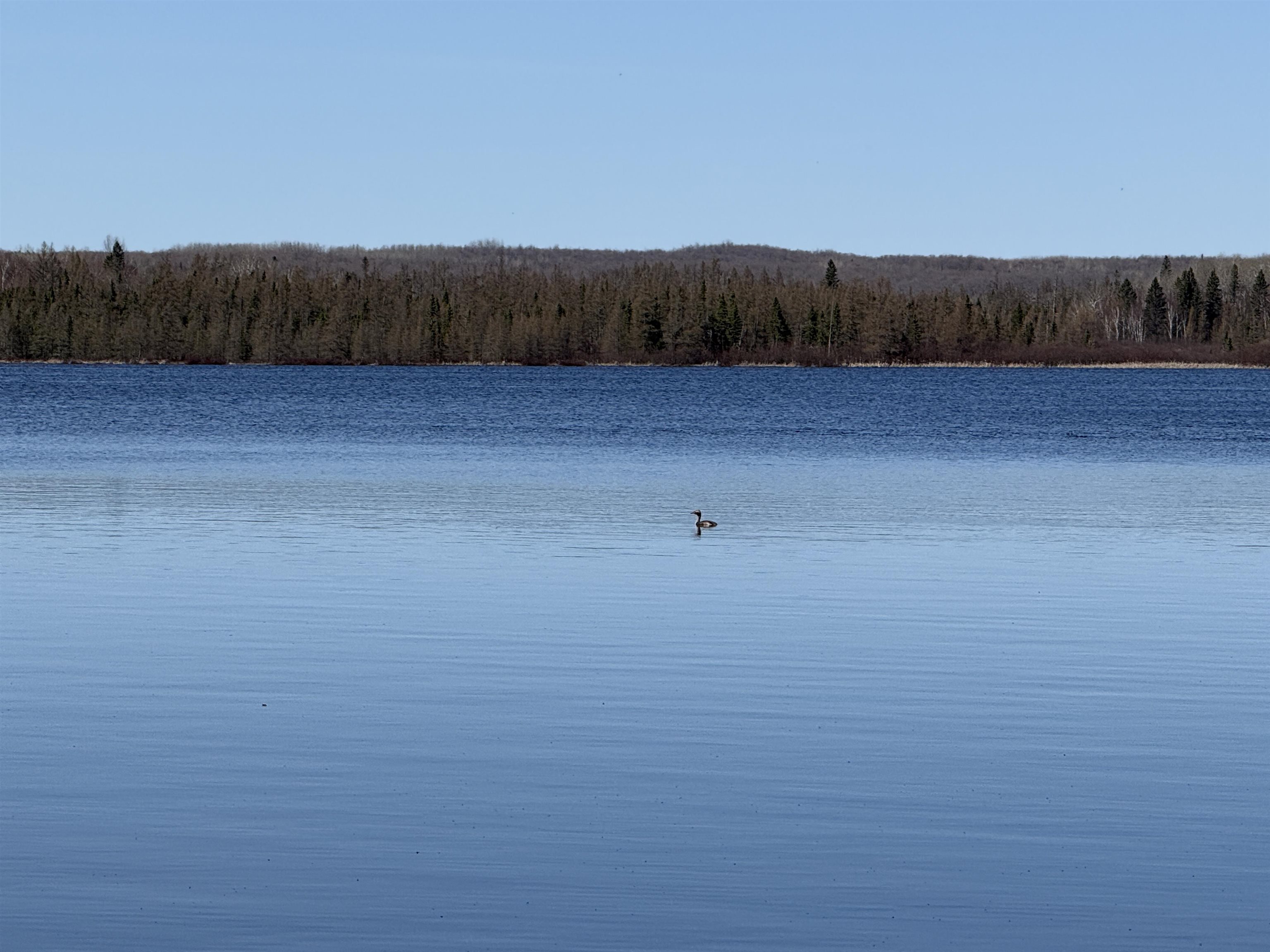 Lot #4 Allen Road Crandon, WI 54520 - Photo 1 of 7