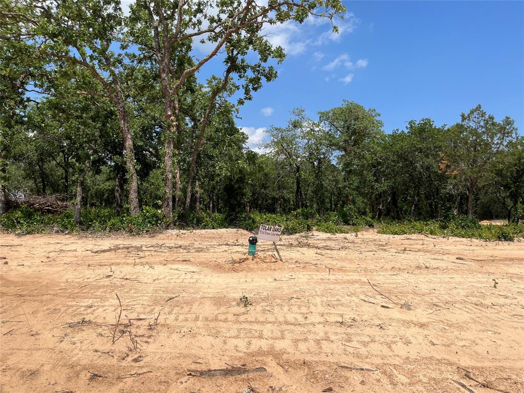 452 Peace Lily Way Tolar, TX 76476 - Photo 1 of 1 a view of empty space with trees