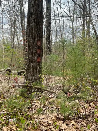 $65,000 | 0 Miner Road, Hardwick, MA 01082