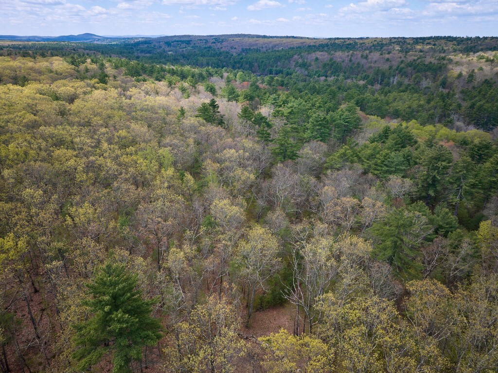 0 Miner Road Hardwick, MA 01082 - Photo 5 of 9