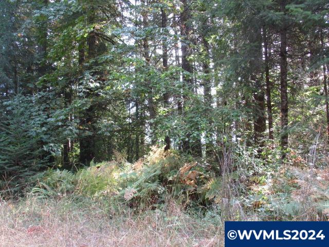0 Northwest Crane (3) Road Yamhill, OR 97148 - Photo 2 of 14
