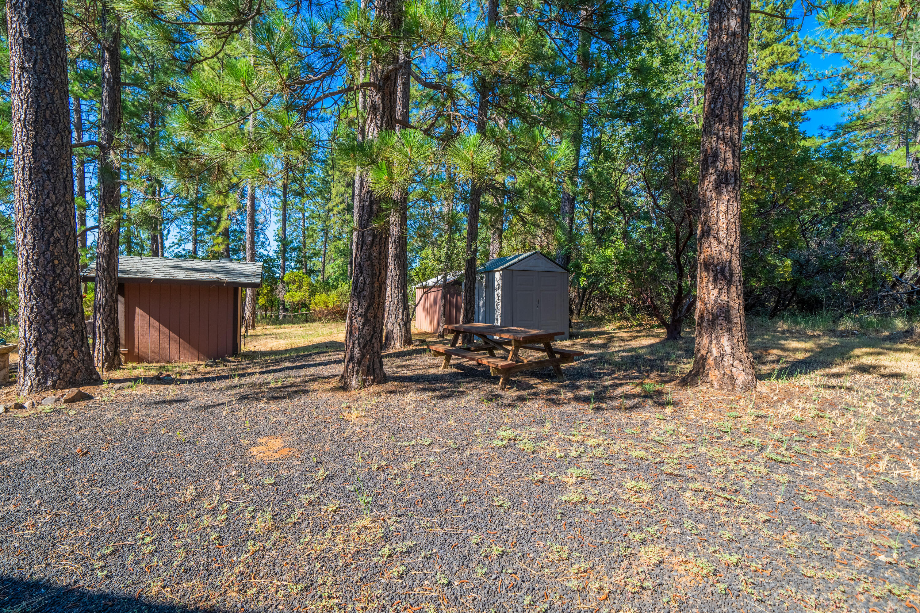 6823 Black Butte Road Shingletown, CA 96088 - Photo 21 of 38 IMG-29