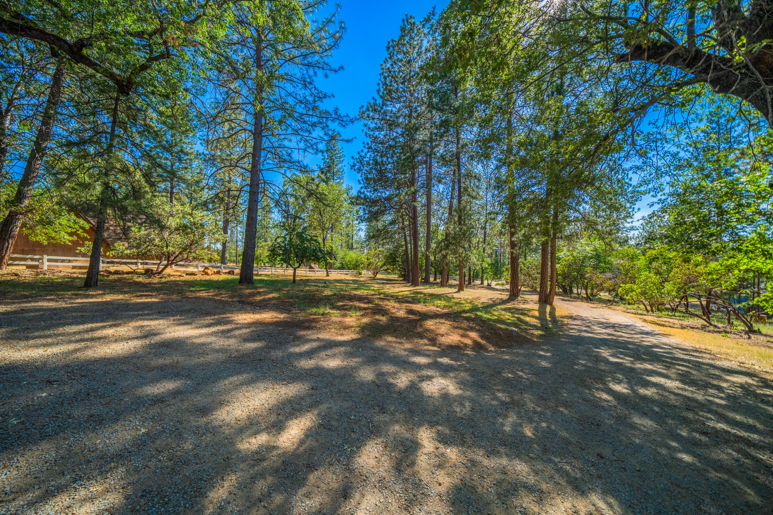 6823 Black Butte Road Shingletown, CA 96088 - Photo 36 of 38 IMG-02