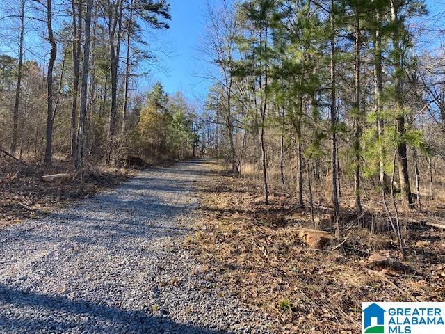 569 Ridge View Drive, Unit 5 AC Trussville, AL 35173 - Photo 3 of 21